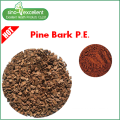 Extrait d&#39;écorce de pin naturel Proanthocyanidines en poudre